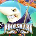 Info Slot Pool Shark